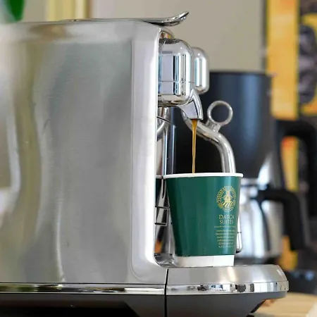 Luxury Boutuiqe 닷차